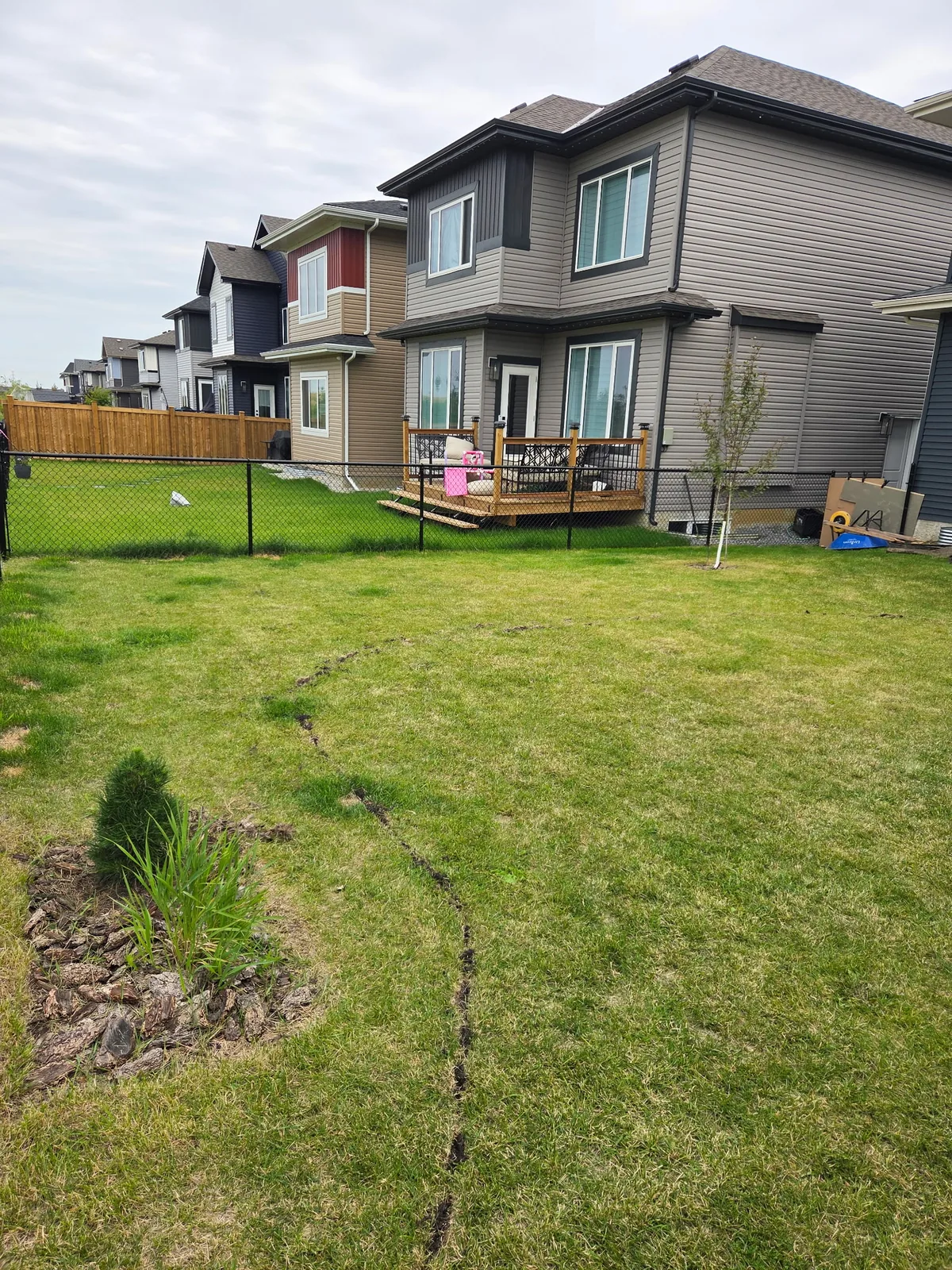 Backyard before the full-property landscape installation began