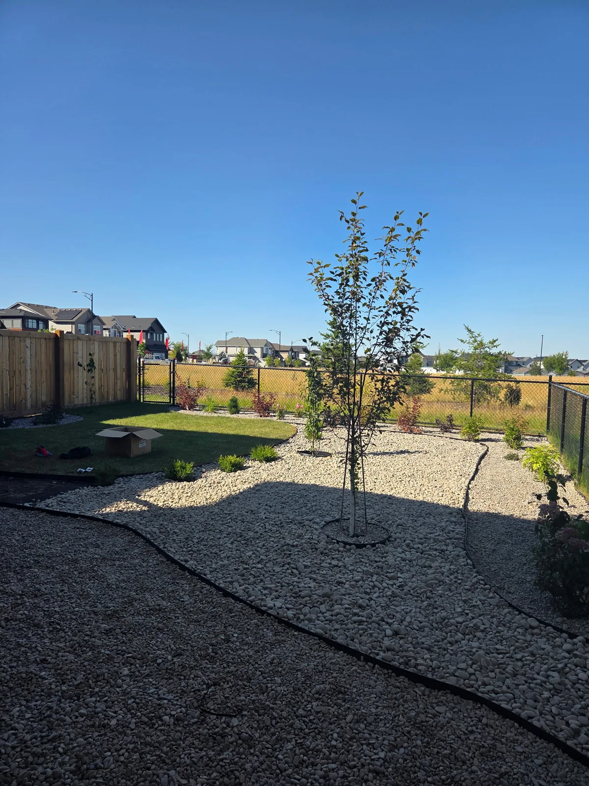 Decorative rock beds, trees and shrubs during installation
